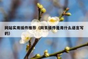 网站实用插件推荐（网页插件是用什么语言写的）