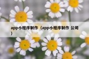 app小程序制作（app小程序制作 公司）