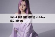 tiktok服务器搭建教程（tiktok独立ip搭建）