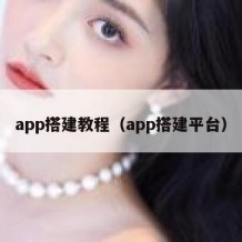 app搭建教程（app搭建平台）