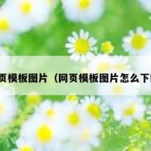 网页模板图片（网页模板图片怎么下载）