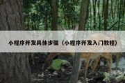 小程序开发具体步骤（小程序开发入门教程）