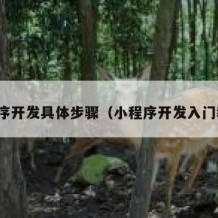 小程序开发具体步骤（小程序开发入门教程）