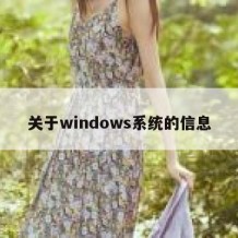 关于windows系统的信息