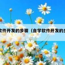 自学软件开发的步骤（自学软件开发的步骤包括）