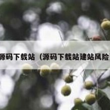 源码下载站（源码下载站建站风险）