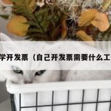 自学开发票（自己开发票需要什么工具）