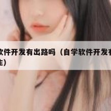 自学软件开发有出路吗（自学软件开发有出路吗女生）