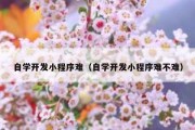 自学开发小程序难（自学开发小程序难不难）