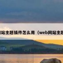 网站主题插件怎么用（web网站主题）