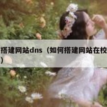 如何搭建网站dns（如何搭建网站在校园网访问）