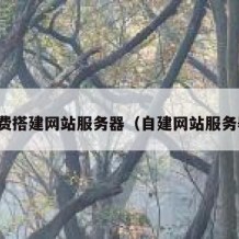 免费搭建网站服务器（自建网站服务器）