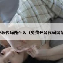 开源代码是什么（免费开源代码网站）