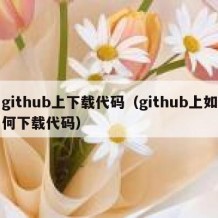 github上下载代码（github上如何下载代码）