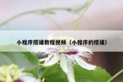 小程序搭建教程视频（小程序的搭建）