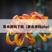 算命源码下载（算命源码php）