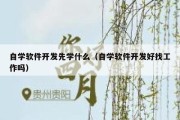 自学软件开发先学什么（自学软件开发好找工作吗）