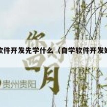 自学软件开发先学什么（自学软件开发好找工作吗）