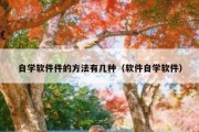 自学软件件的方法有几种（软件自学软件）