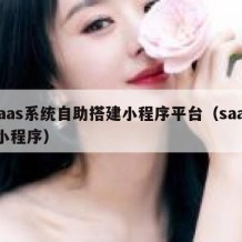 saas系统自助搭建小程序平台（saas 小程序）