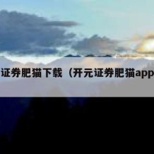 开源证券肥猫下载（开元证券肥猫app下载）