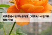 如何搭建小程序对接淘客（如何做个小程序和微信对接）