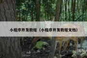 小程序开发教程（小程序开发教程文档）