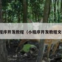 小程序开发教程（小程序开发教程文档）