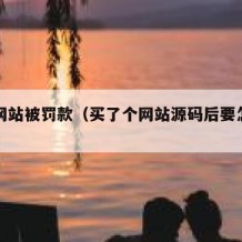 源码网站被罚款（买了个网站源码后要怎么用）