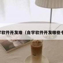 自学软件开发难（自学软件开发哪些书籍）