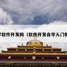 自学软件开发网（软件开发自学入门教程）