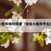 微信小程序如何搭建（微信小程序平台怎么搭建）