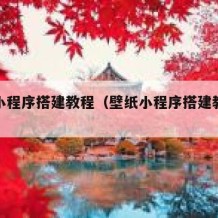 壁纸小程序搭建教程（壁纸小程序搭建教程图片）