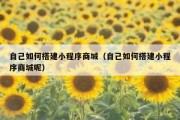 自己如何搭建小程序商城（自己如何搭建小程序商城呢）