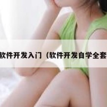 自学软件开发入门（软件开发自学全套教程）