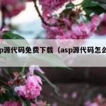 asp源代码免费下载（asp源代码怎么用）