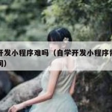 自学开发小程序难吗（自学开发小程序需要多长时间）