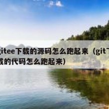 gitee下载的源码怎么跑起来（git下载的代码怎么跑起来）