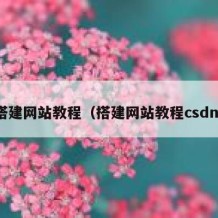 搭建网站教程（搭建网站教程csdn）