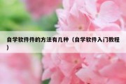 自学软件件的方法有几种（自学软件入门教程）