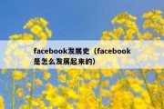 facebook发展史（facebook是怎么发展起来的）