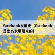 facebook发展史（facebook是怎么发展起来的）