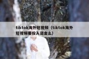 tiktok海外短视频（tiktok海外短视频要投入资金么）