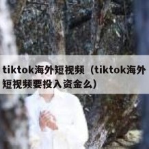 tiktok海外短视频（tiktok海外短视频要投入资金么）