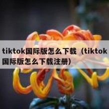 tiktok国际版怎么下载（tiktok国际版怎么下载注册）