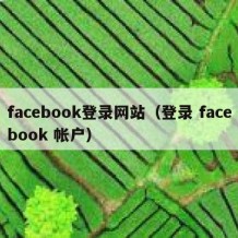 facebook登录网站（登录 facebook 帐户）