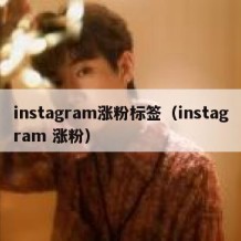 instagram涨粉标签（instagram 涨粉）