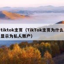 tiktok主页（TikTok主页为什么显示为私人账户）