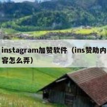 instagram加赞软件（ins赞助内容怎么弄）