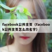 facebook公共主页（facebook公共主页怎么改名字）